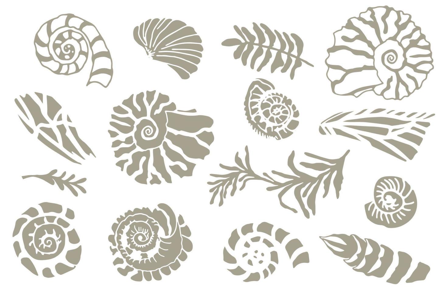 conjunto de conchas marinas y plantas de plantilla de silueta dibujadas a mano conchas marinas o conchas moluscos vieiras mar submarino animal fósil náutico y acuario, tema marino. ilustración vectorial vector