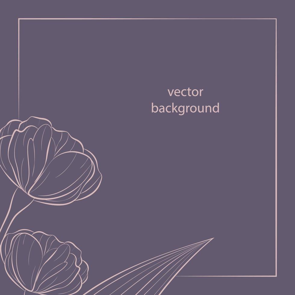 elegant floral border vector