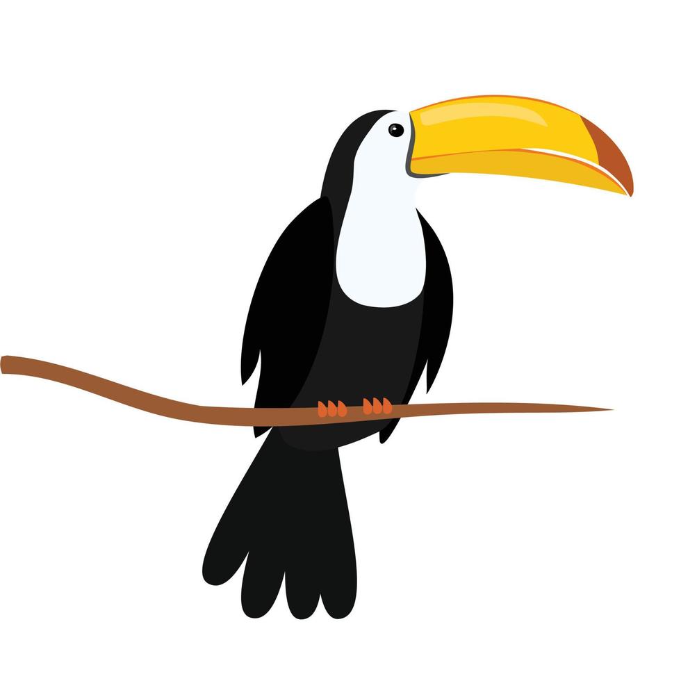 Toucan on the branch. Brazil bird. Carnival. Vector illustration.