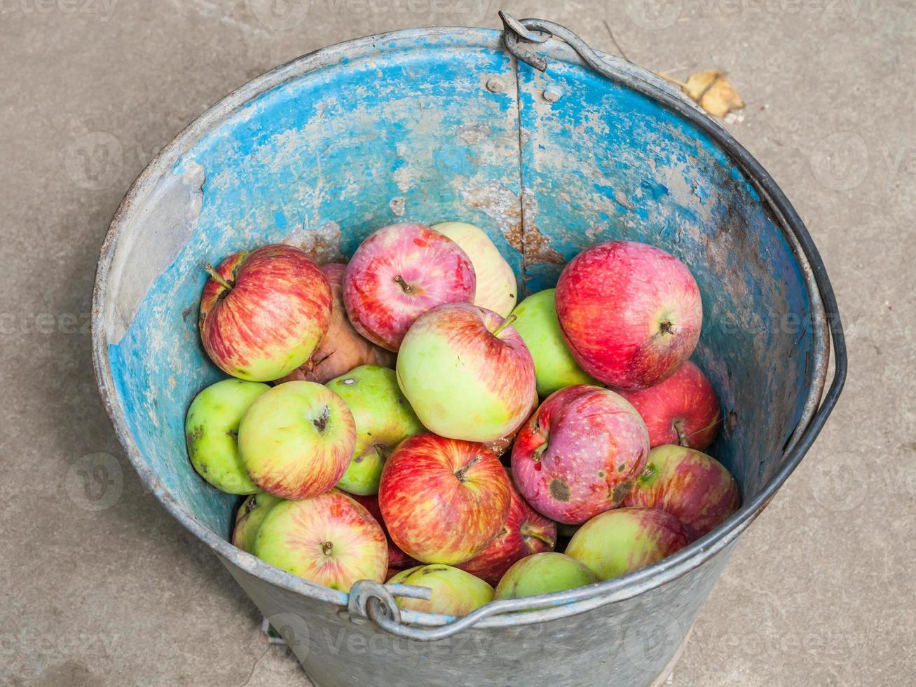 vista anterior del balde con manzanas frescas inesperadas foto