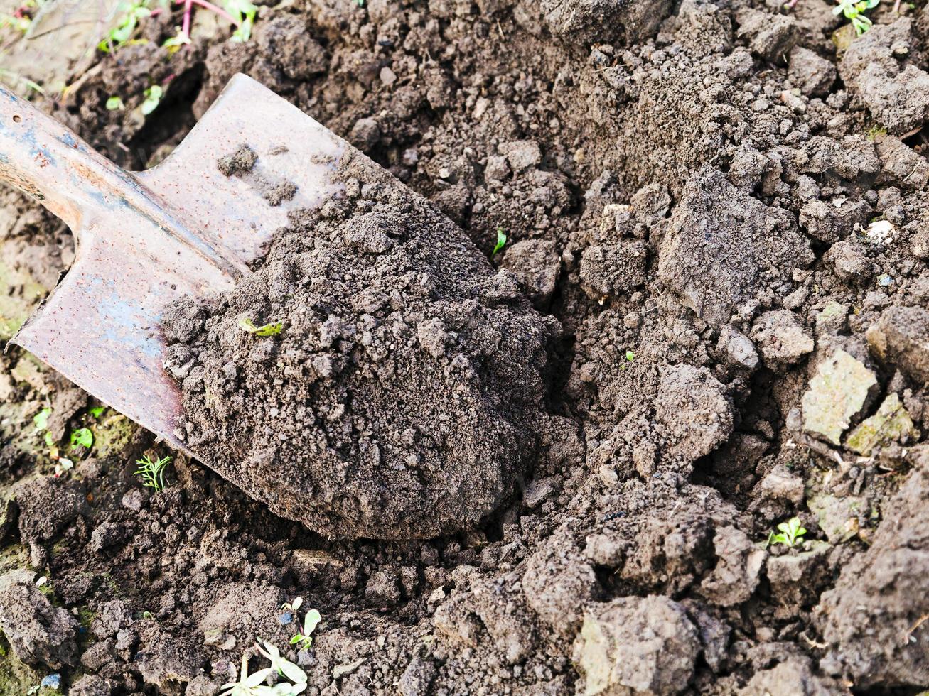 digging with spade photo