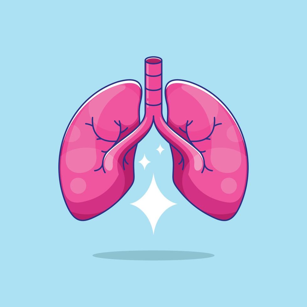 Lung human anatomy biology organ body system vector