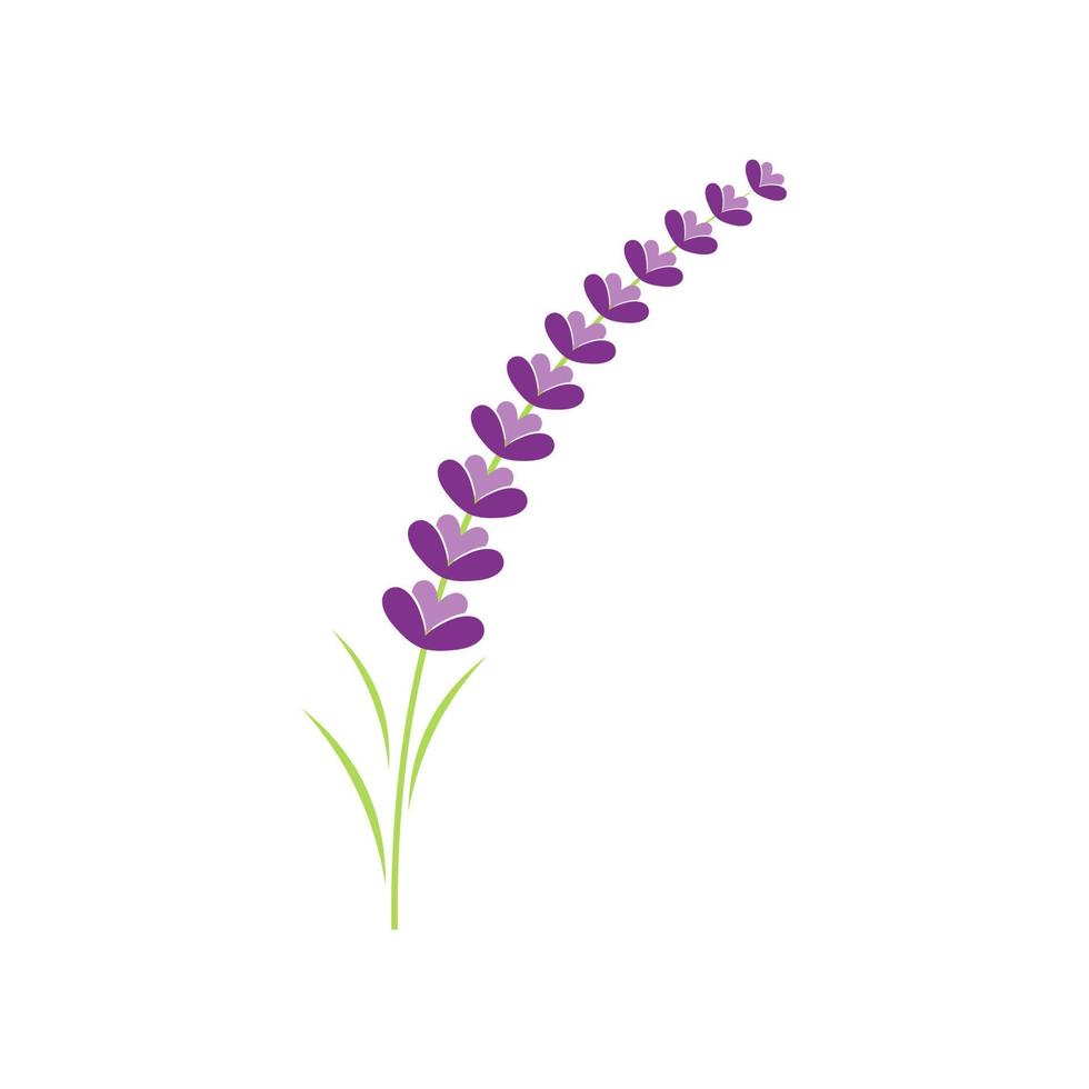 logotipo de flor de lavanda vector