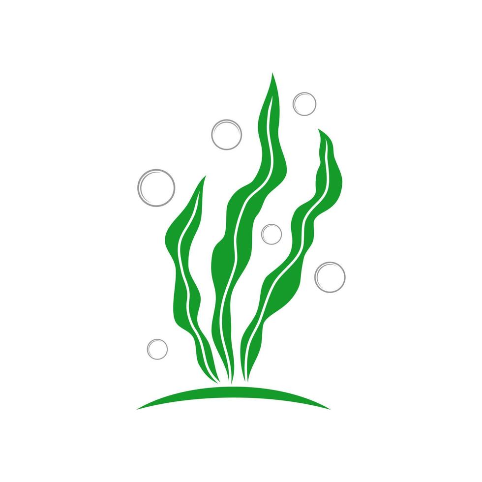 logotipo vectorial de algas marinas vector