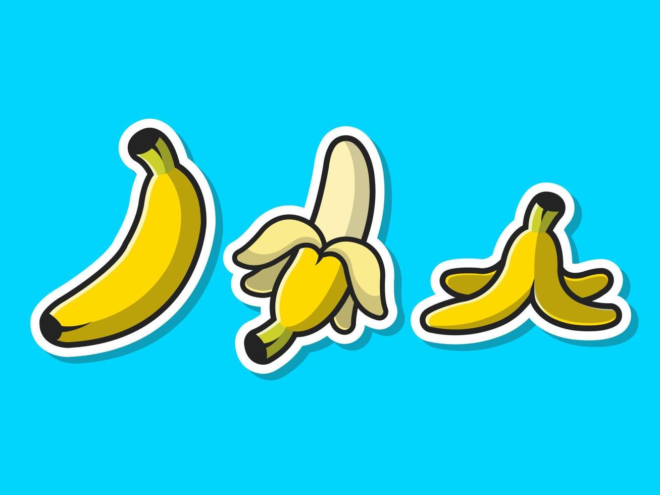 plátano conjunto fruta dibujos animados vector icono ilustración. concepto de icono de objeto de comida vector premium aislado. estilo de dibujos animados plana