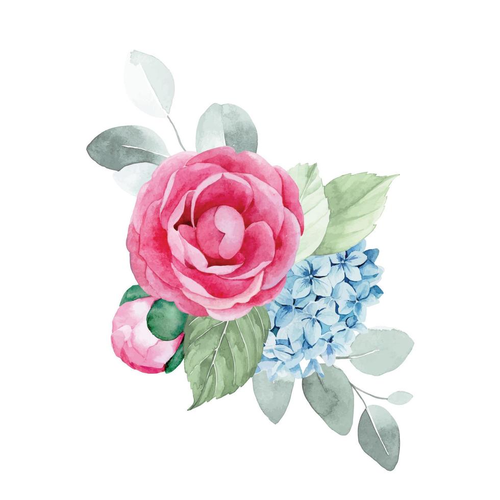 watercolor drawing. bouquet, composition with flowers and leaves of eucalyptus. pink peony flowers, roses, blue hydrangeas. delicate print, vintage decoration vector