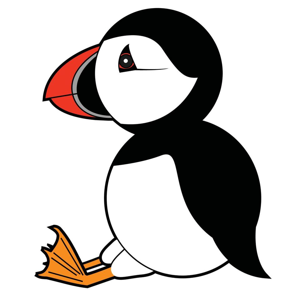 puffin vector illustration on white background