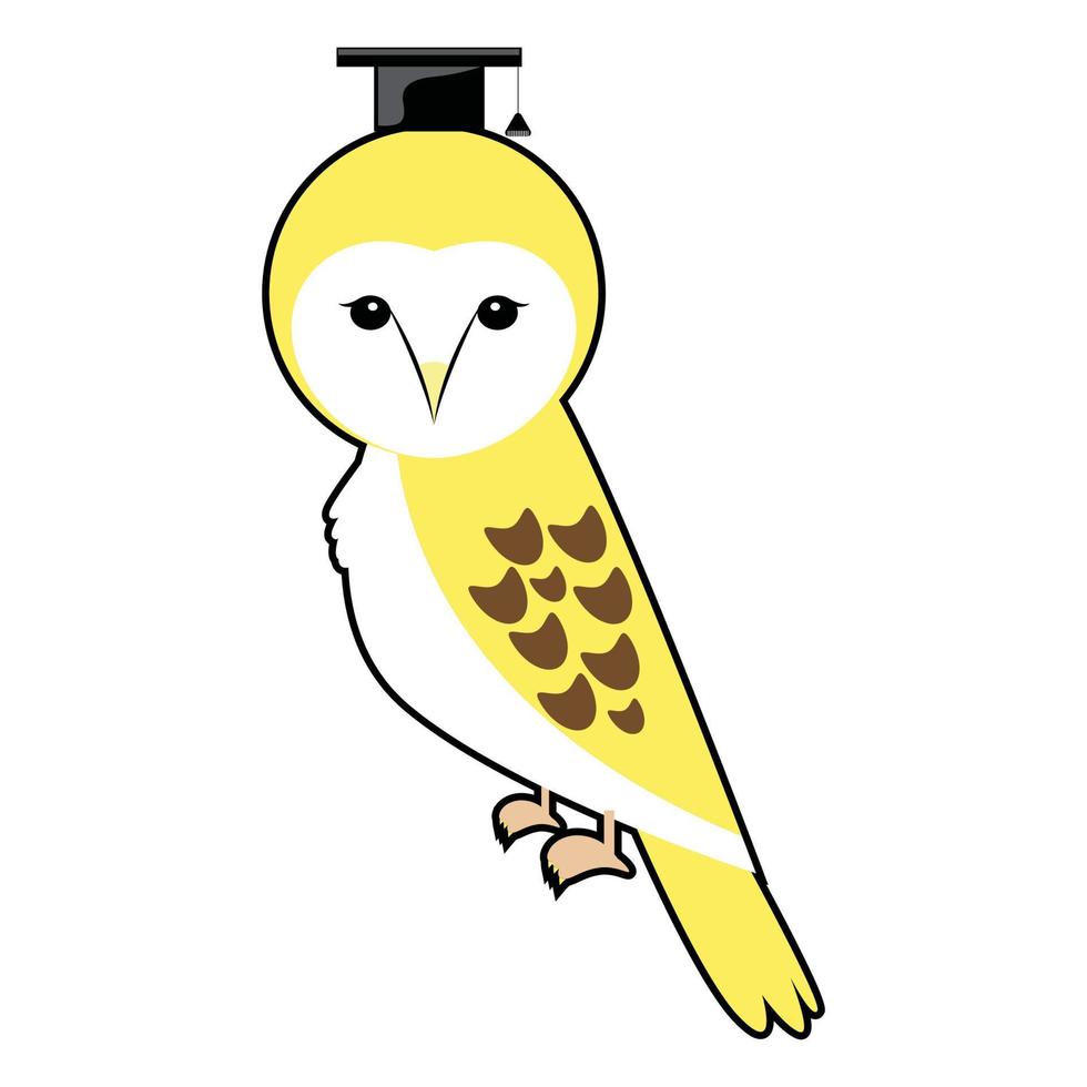 barn owl or Tyto alba character vector designs