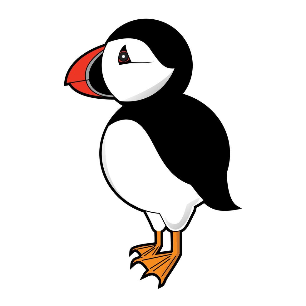 puffin vector illustration on white background