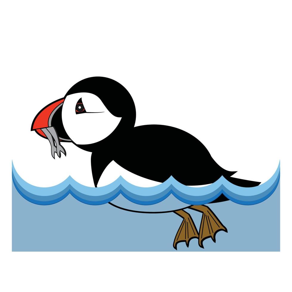 puffin vector illustration on white background