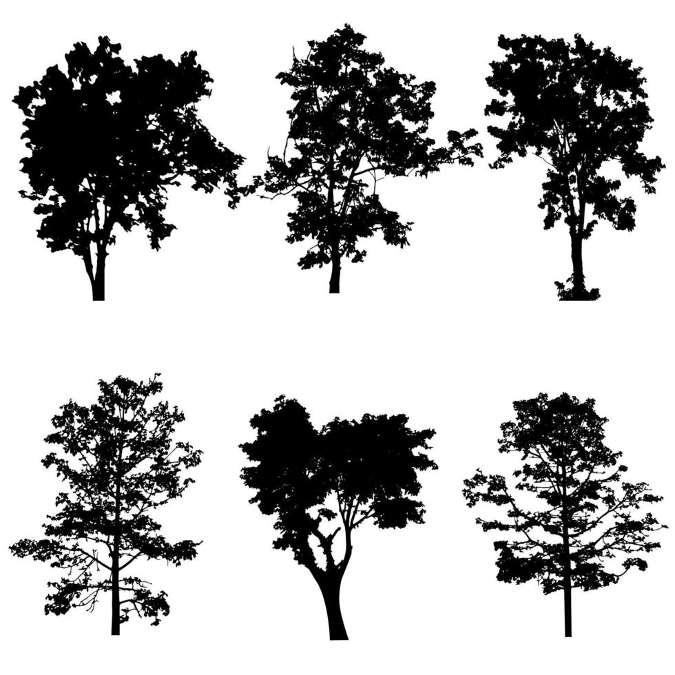 conjunto de vector de silueta de árbol