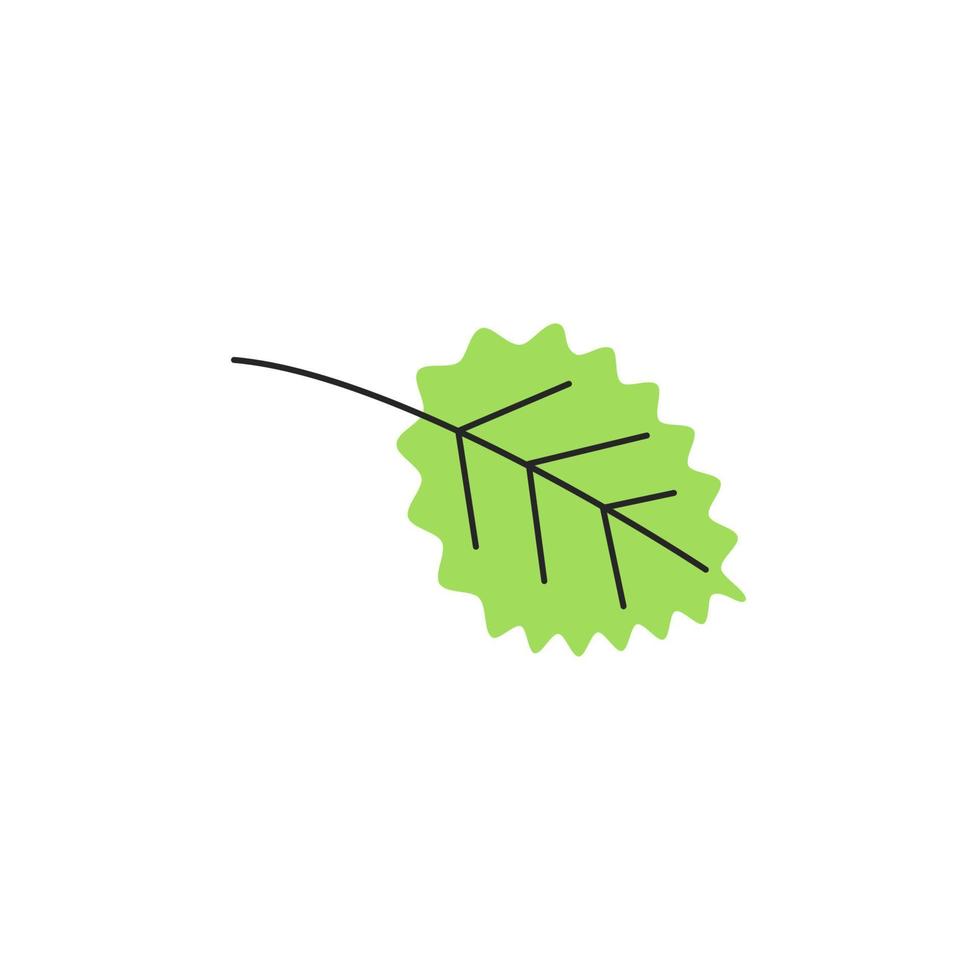 Light green autumn leaf with veins. Fall aspen foliage season. Decorative botanical item. Simple single quaking aspen leaf silhouette. Hand drawn flat vector illustration isolated on white background