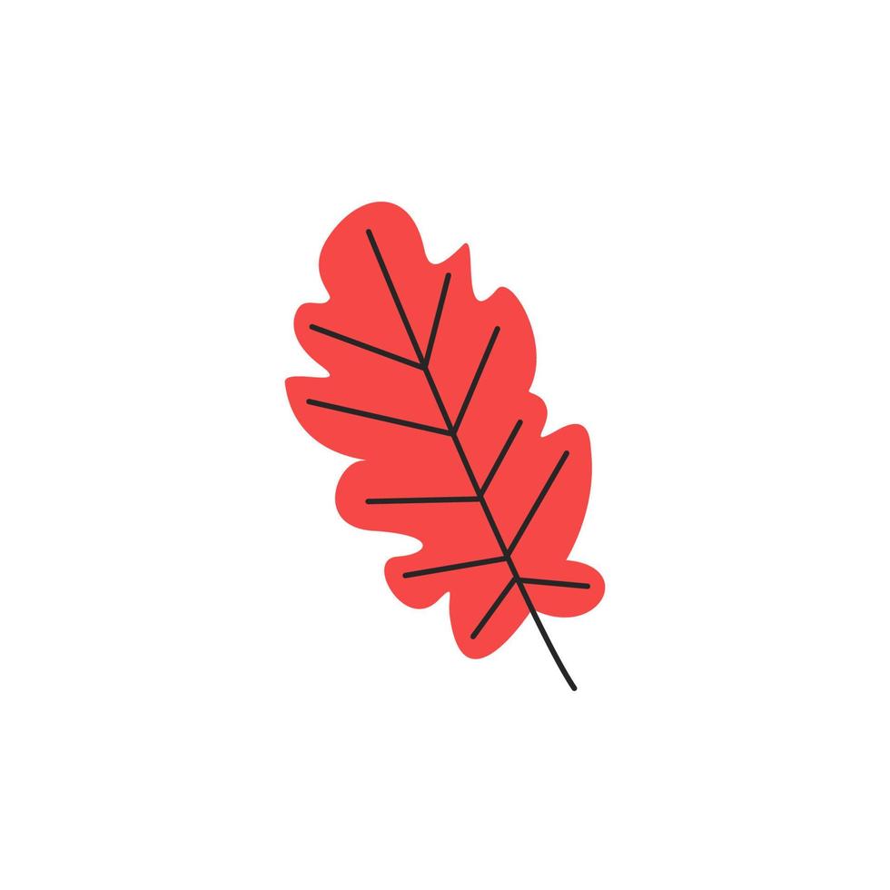 Red fresh autumn leaf with veins. Fall oak foliage season. Decorative botanical deciduous item. Simple single oak leaf silhouette. Hand drawn flat vector illustration isolated on white background