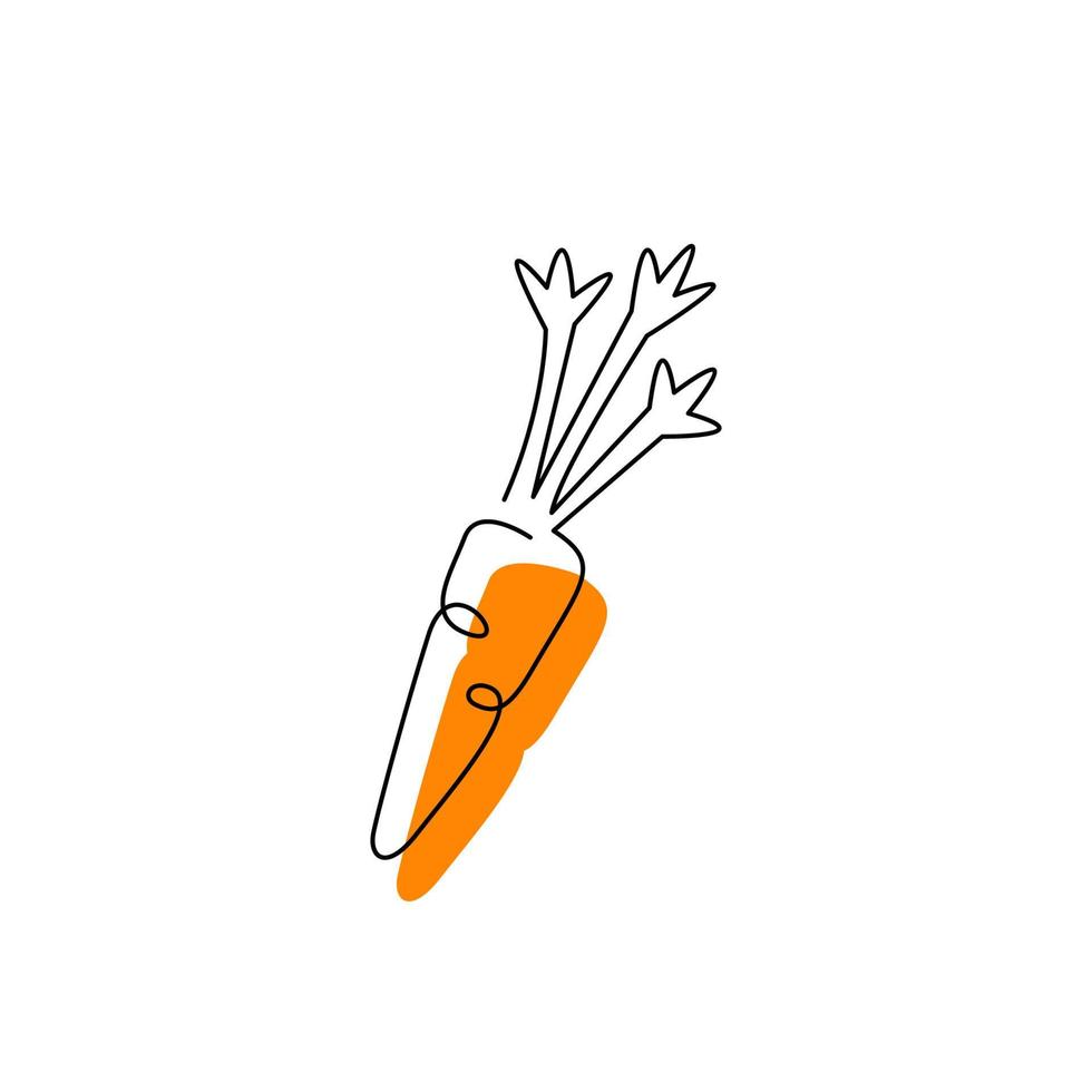 Orange-colored root isolated on white. Carrot black contour drawing with abstract color spot. Continuous vegetable concept. Organic minimalist silhouette. Hand drawn one line flat vector illustration