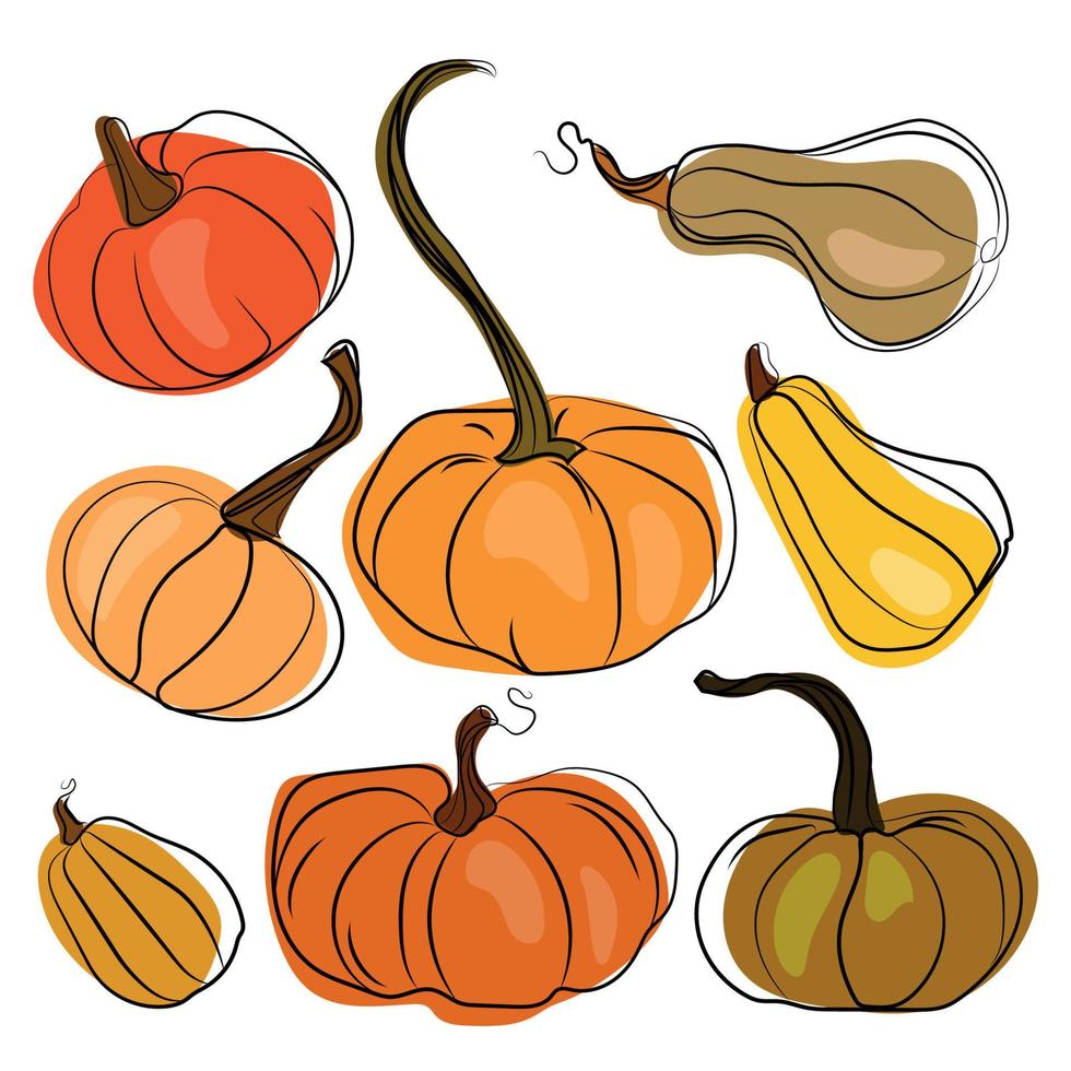 un conjunto de calabazas en diferentes grados y formas dibujadas a mano. colección de vectores de lindas calabazas sobre fondo blanco. elementos para el diseño decorativo de otoño, invitación de halloween, cosecha de acción de gracias.