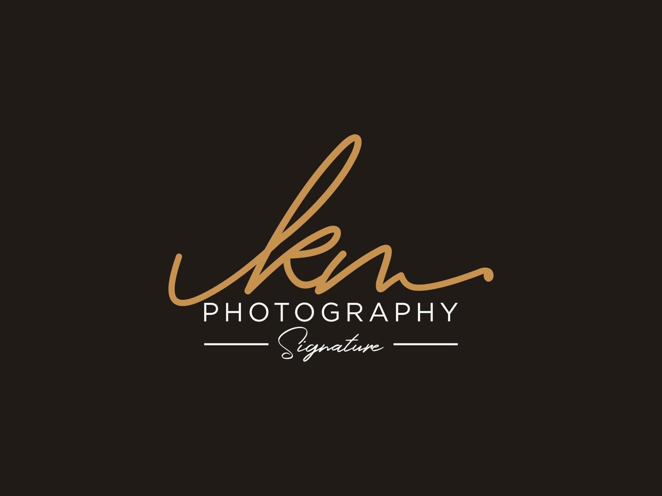 Letter KN Signature Logo Template Vector