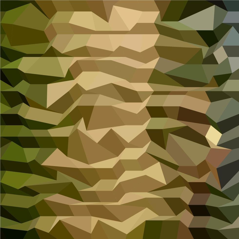 Camouflage Abstract Low Polygon Background vector