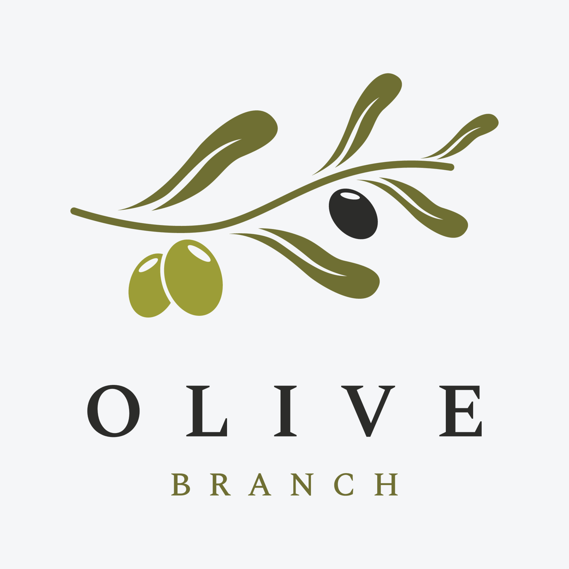 Natural herbal olive and oil logo design with olive branch. Logo for