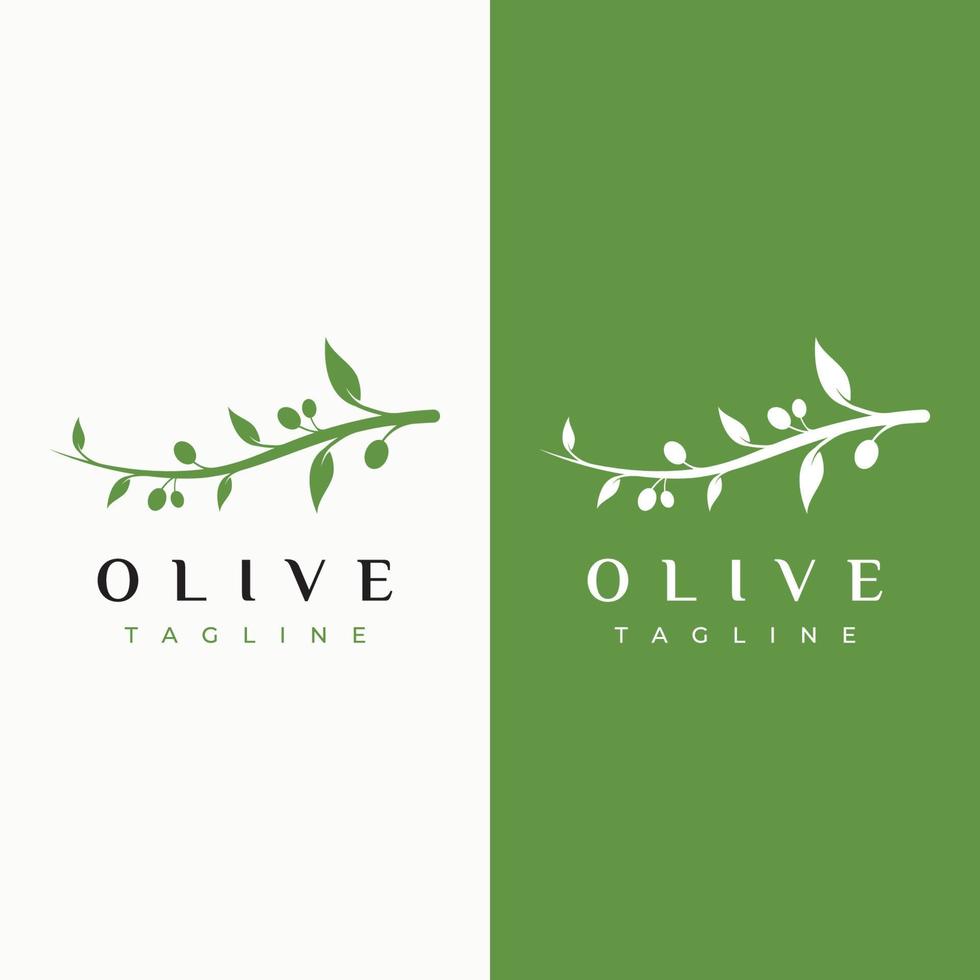 diseño de logotipo de aceite y oliva a base de hierbas naturales con rama de olivo. logo para negocios, marca, medicina herbaria y spa. vector