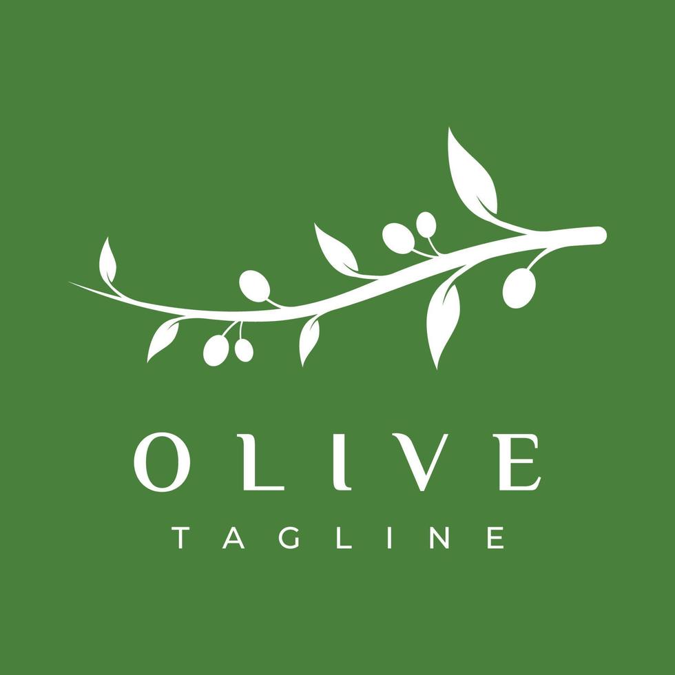 diseño de logotipo de aceite y oliva a base de hierbas naturales con rama de olivo. logo para negocios, marca, medicina herbaria y spa. vector