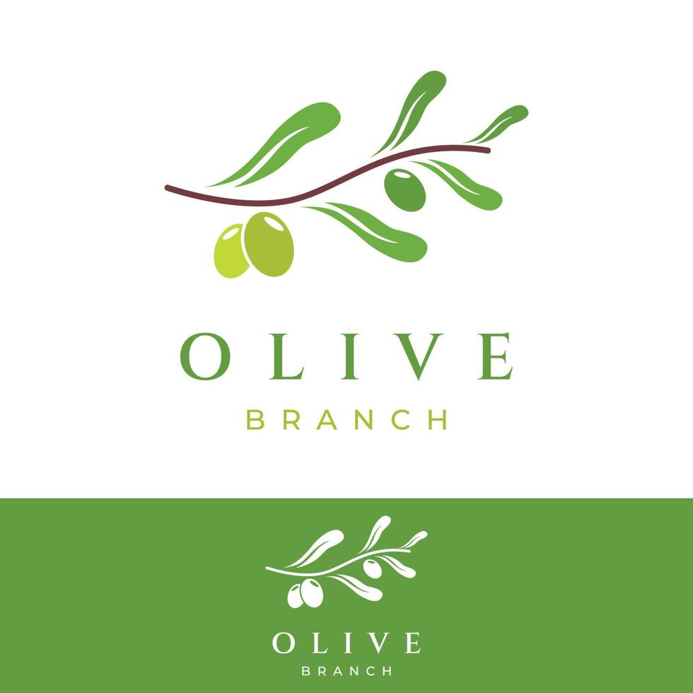 diseño de logotipo de aceite y oliva a base de hierbas naturales con rama de olivo. logo para negocios, marca, medicina herbaria y spa. vector