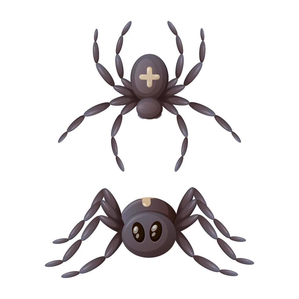 araña con una cruz en la espalda, vista superior y lateral, ilustración vectorial de dibujos animados vector