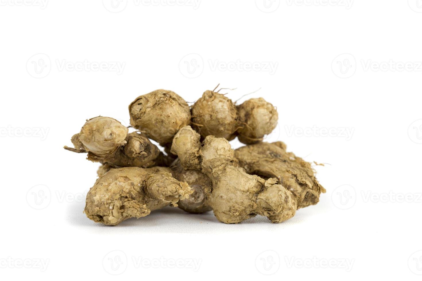 Ginger, a plant whose rhizomes are often used as a spice and as a raw photo