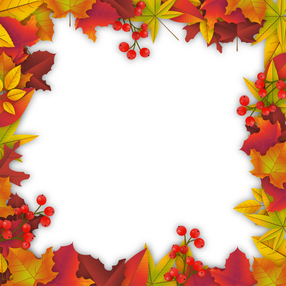 Autumn Frame With Fallen Leaves png