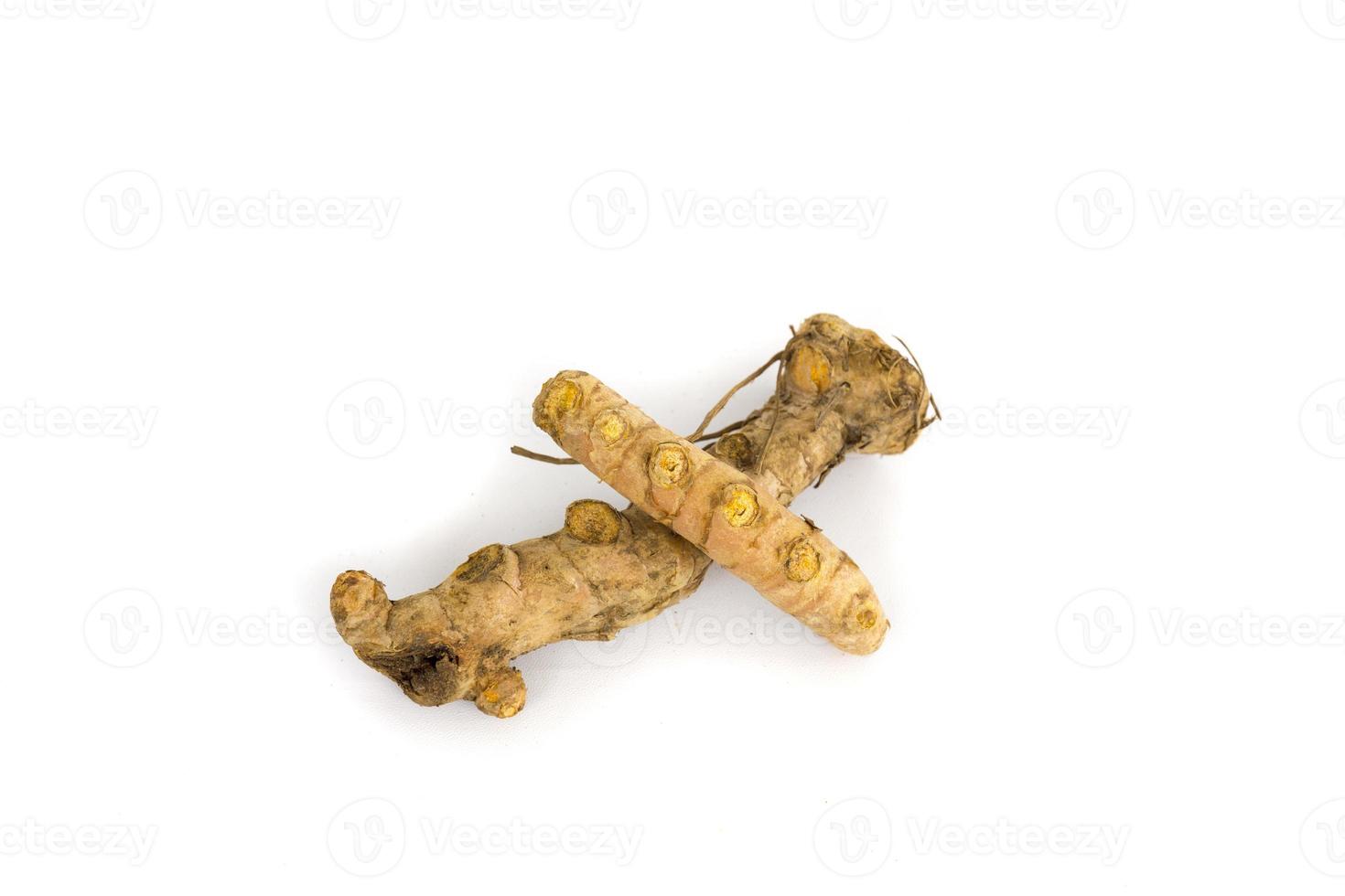 Turmeric or Kunyit or Kunir, is one of the spices and medicinal plants photo