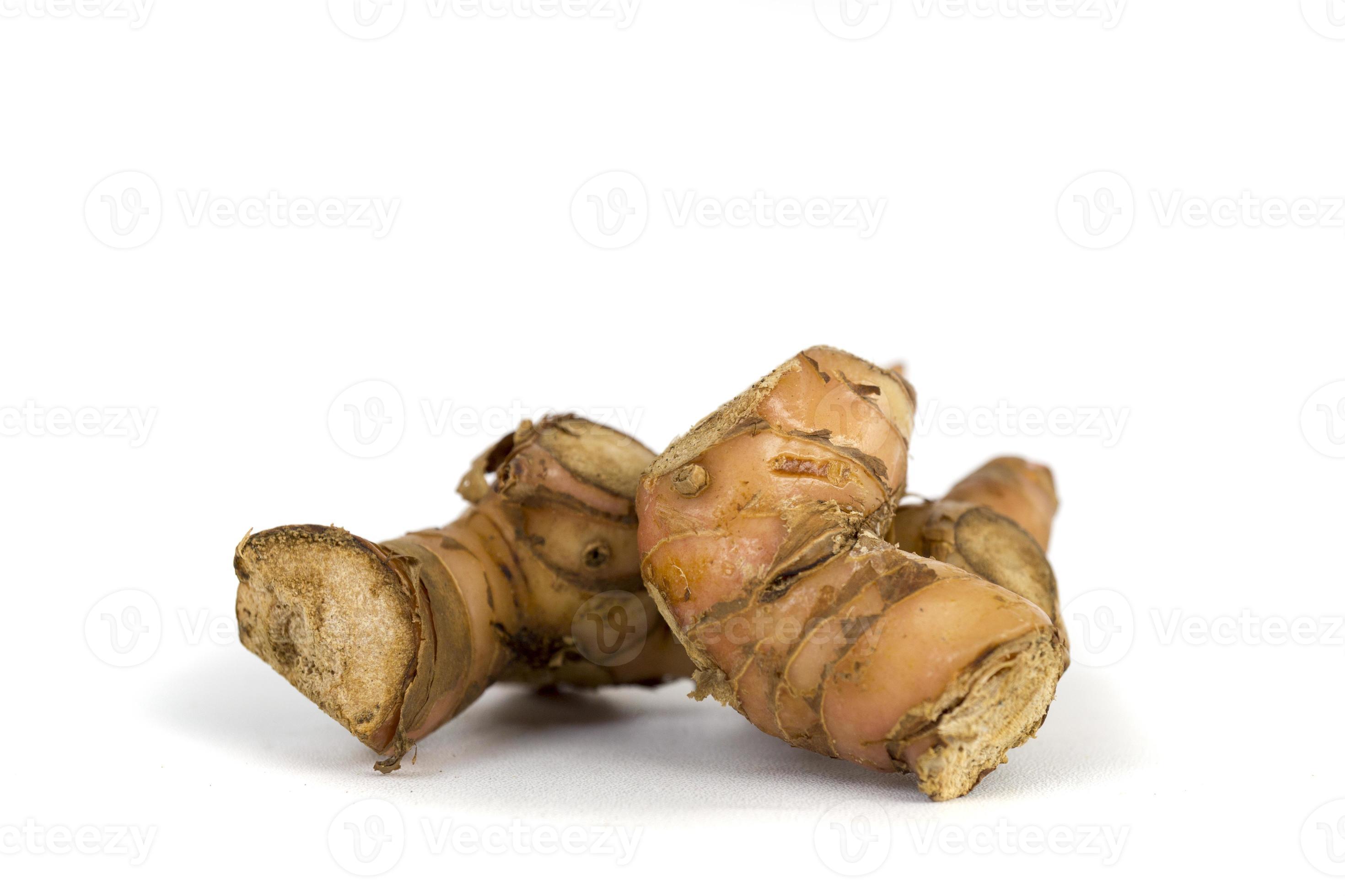 Galangal or Laos or Kelawas type of tuber plant that can live in highland 12052325 Stock at Vecteezy