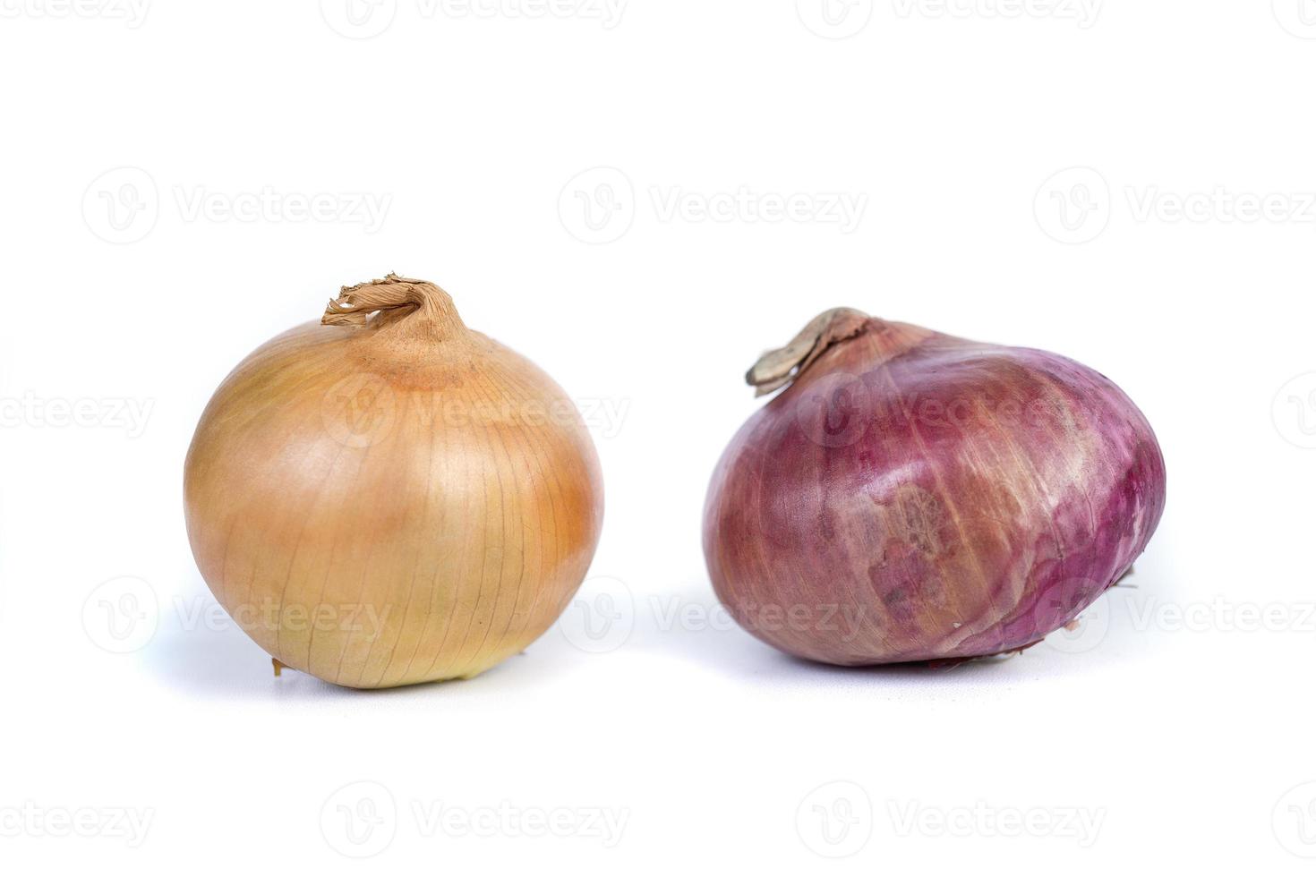 large indian red onion with onions isolated on a white background photo