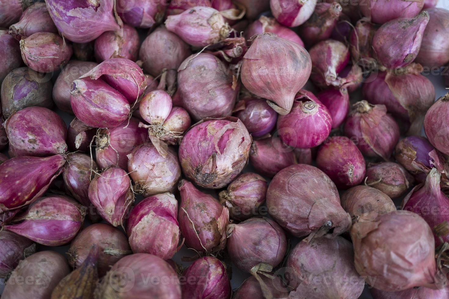Top view of red onion or shallot, suitable for web landing page photo