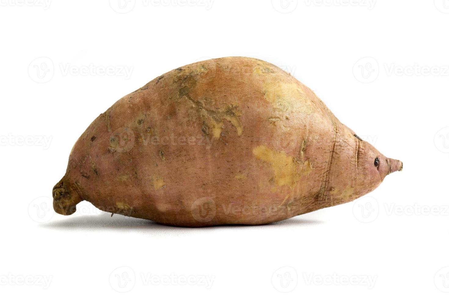 sweet potato is a type of cultivated plant. The part that is used is the roots photo