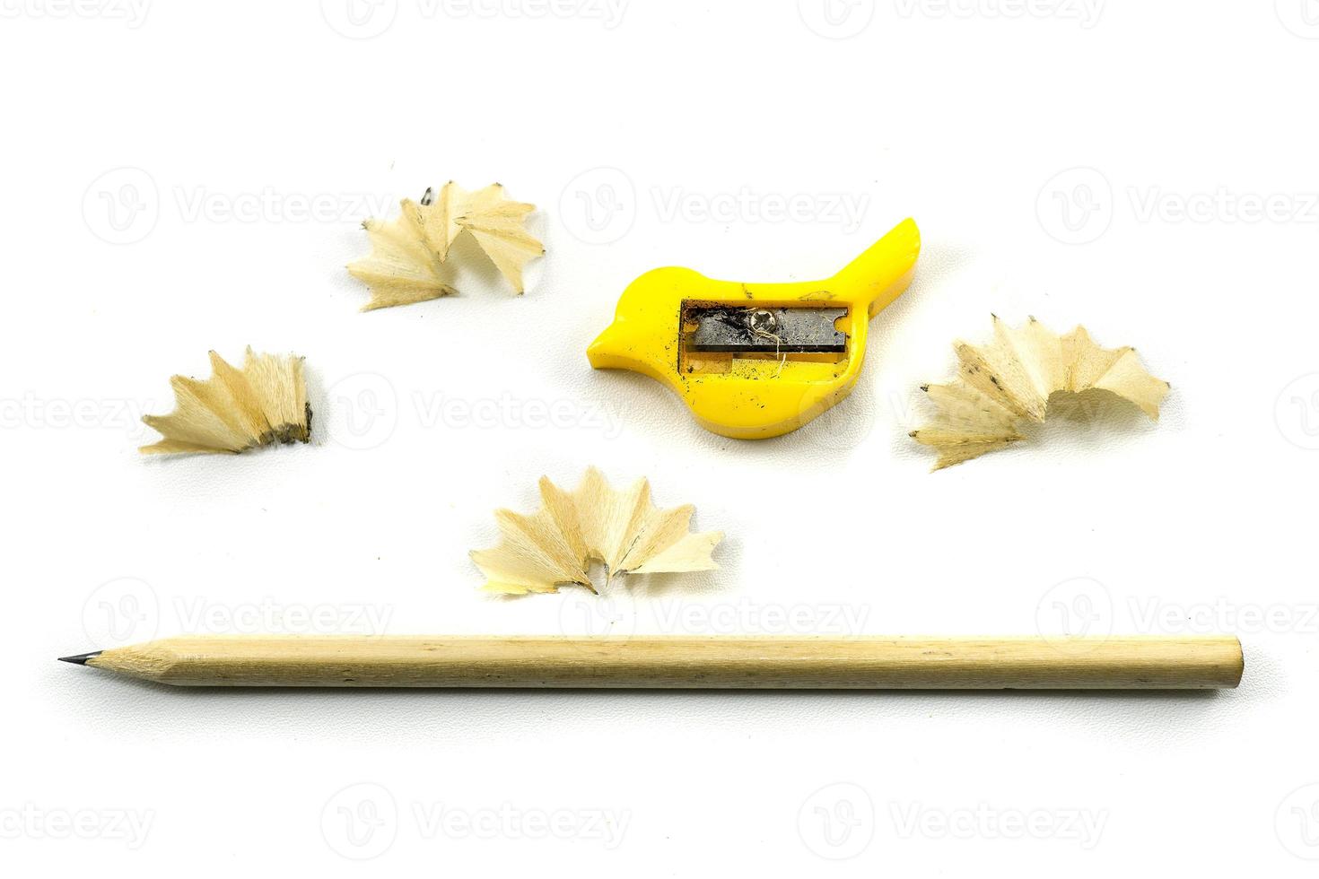 sharpener, wooden pencil and pencil shavings isolated on white photo