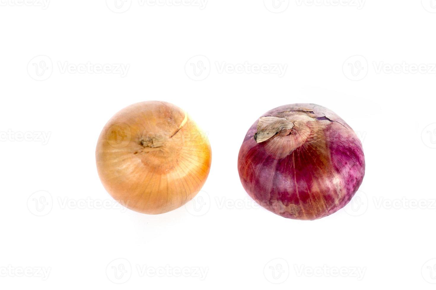 large indian red onion with onions isolated on a white background. photo