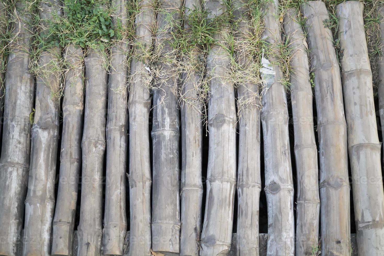 bamboo texture background arranged with grass for bridge photo