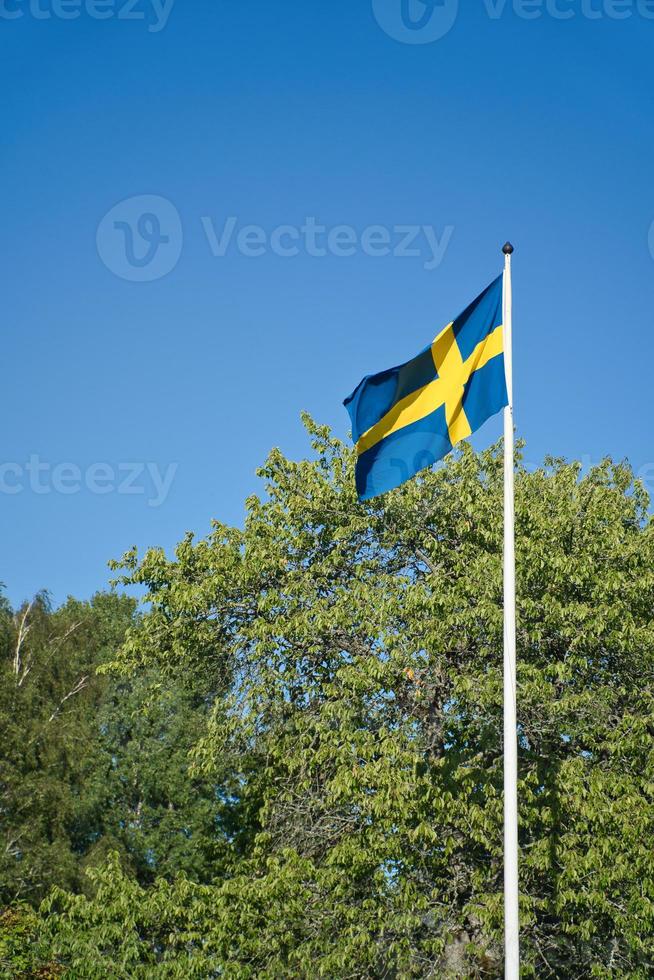 Sweden flag on flagpole on a farm in front of a tree in Smalland. blue, yellow flag photo