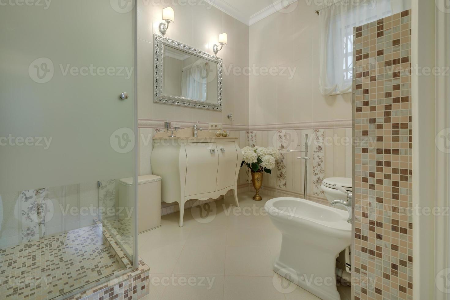 toilet and detail of a corner shower cabin with wall mount shower attachment photo