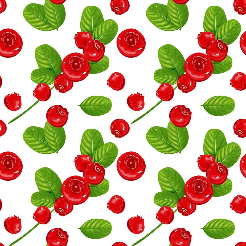 Seamless pattern with red berries and green leaves on a white background. Background with cowberry for fabric, wallpaper or packaging. Vector illustration.