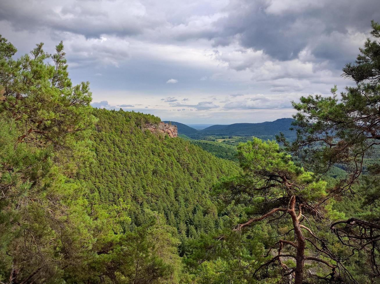Viewpoint in the forest photo