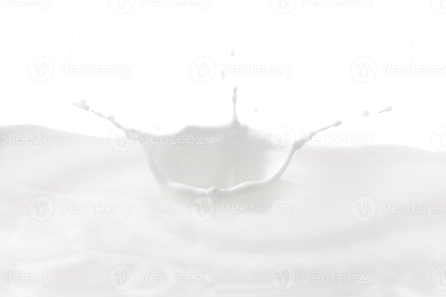 Milk crown splash, splashing in milk pool with white background photo