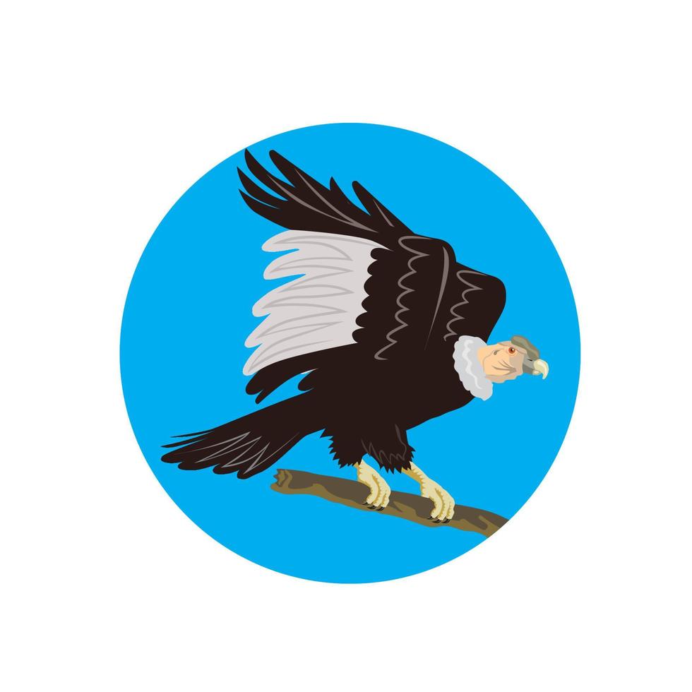 California Condor Perching Branch Circle Retro vector