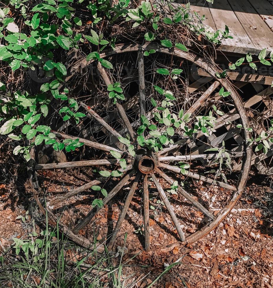 Vintage Wagon Wheel photo