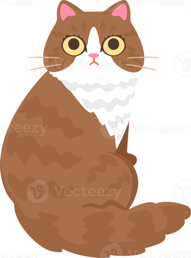 Cute cat cartoon png