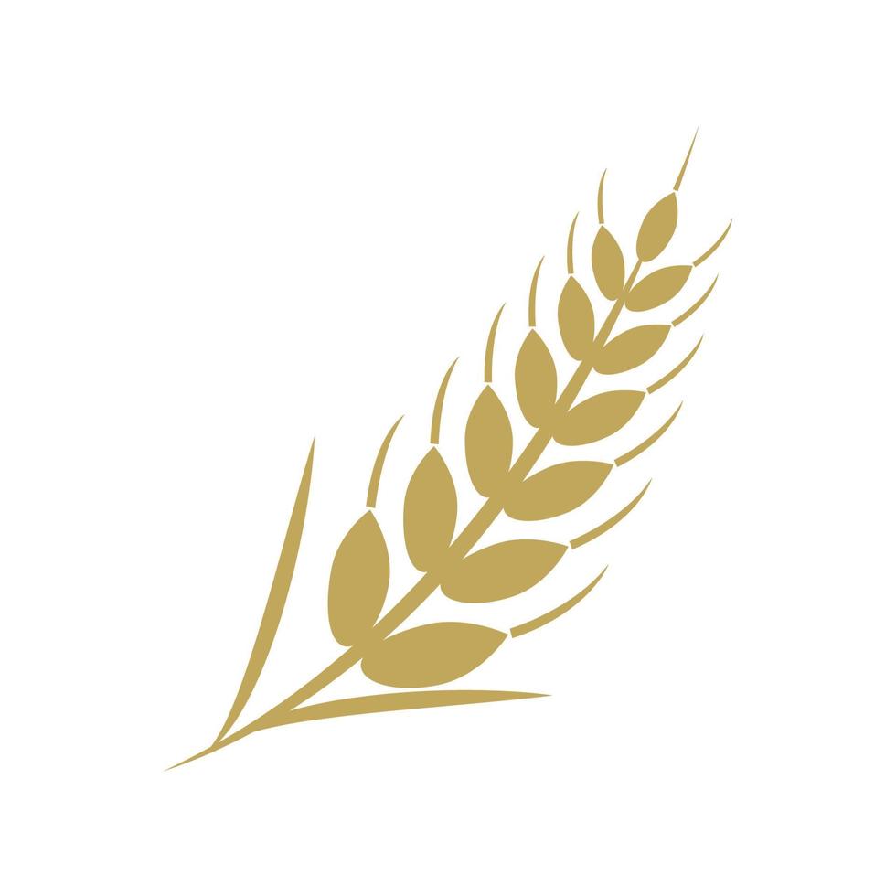 Diseño de ilustración de vector de plantilla de logotipo de trigo