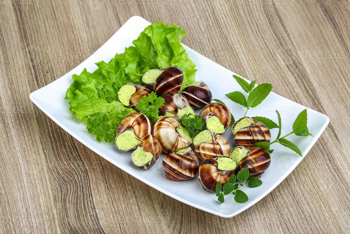 Escargot Stock Photos, Images and Backgrounds for Free Download