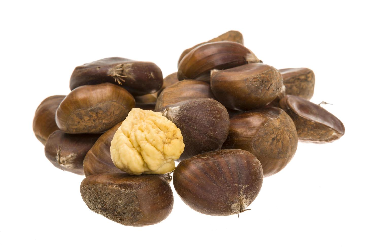 Chestnut on white background photo