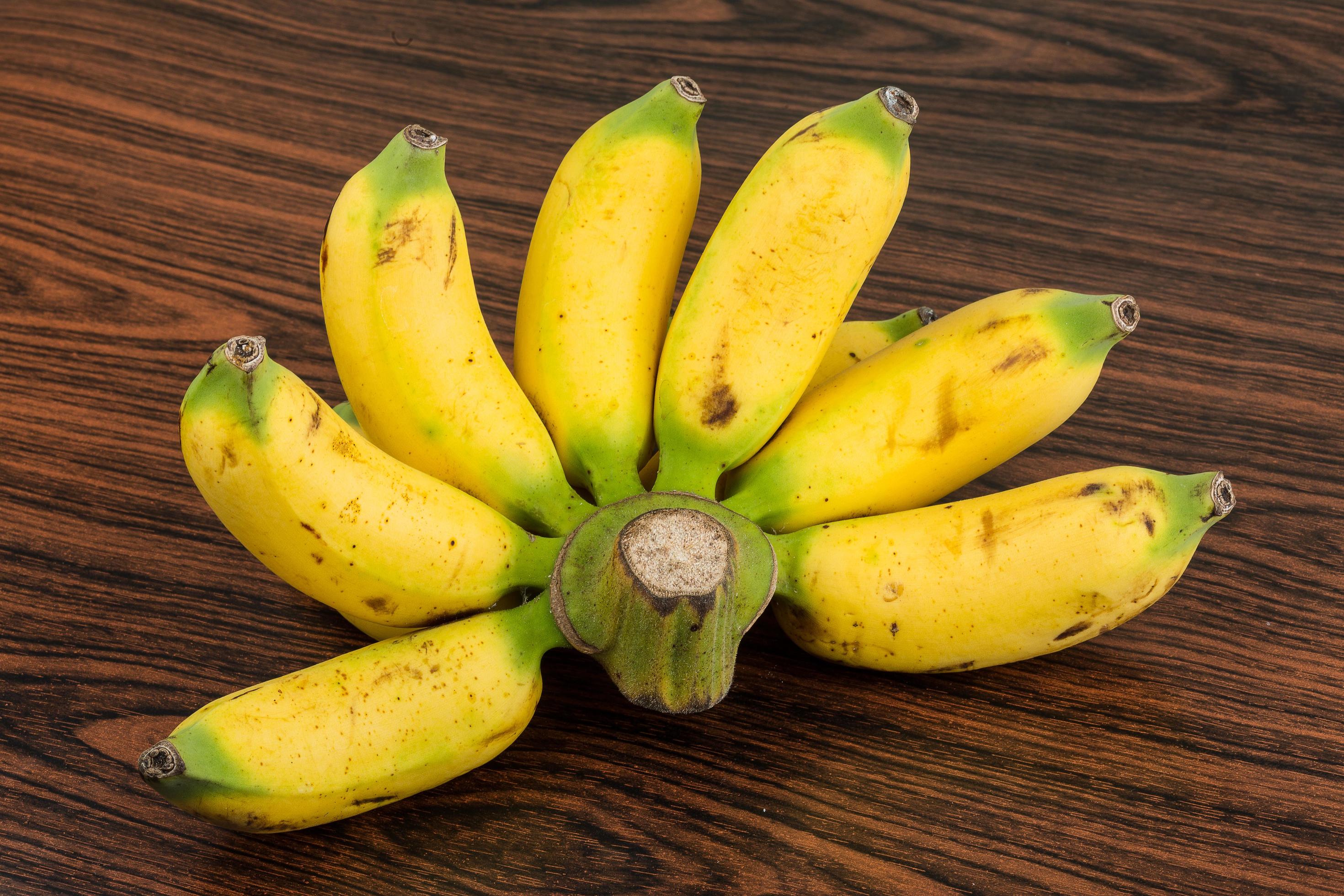 Baby banana on wooden background 12060530 Stock Photo at Vecteezy