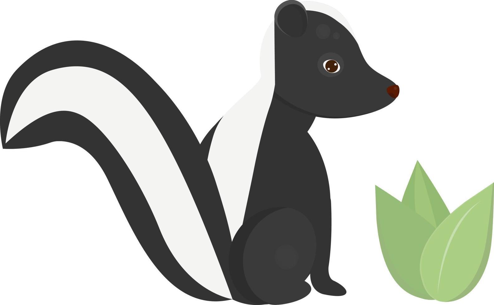 Skunk cub vector illustration