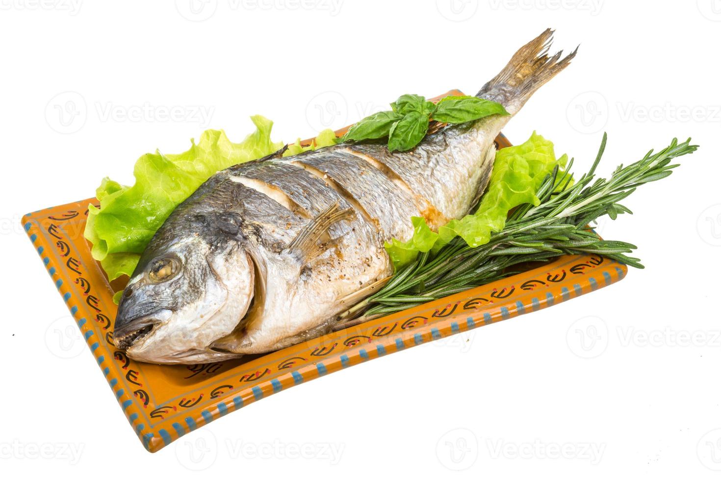 dorada a la parrilla en el plato y fondo blanco foto